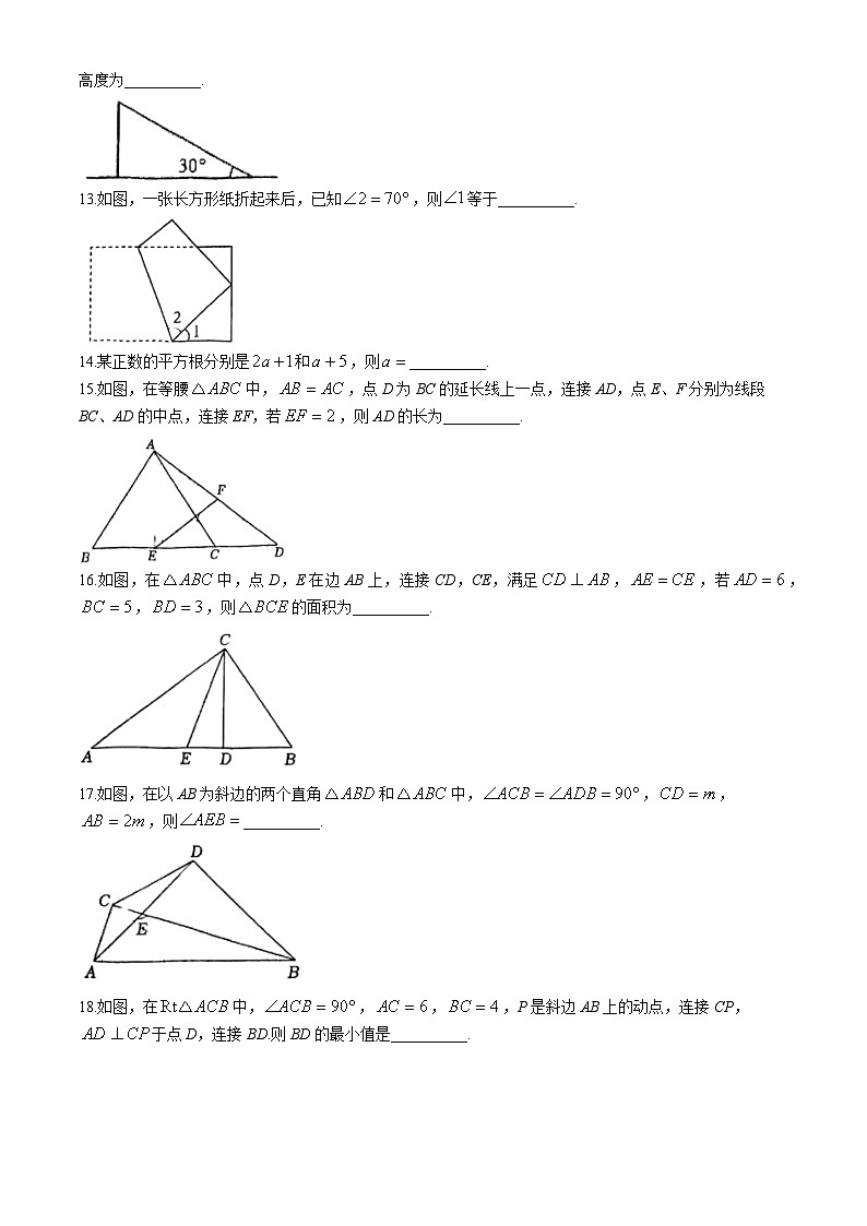 江苏省苏州市姑苏区草桥中学校2024—-2025学年八年级上学期10月月考数学试题(无答案)第3页