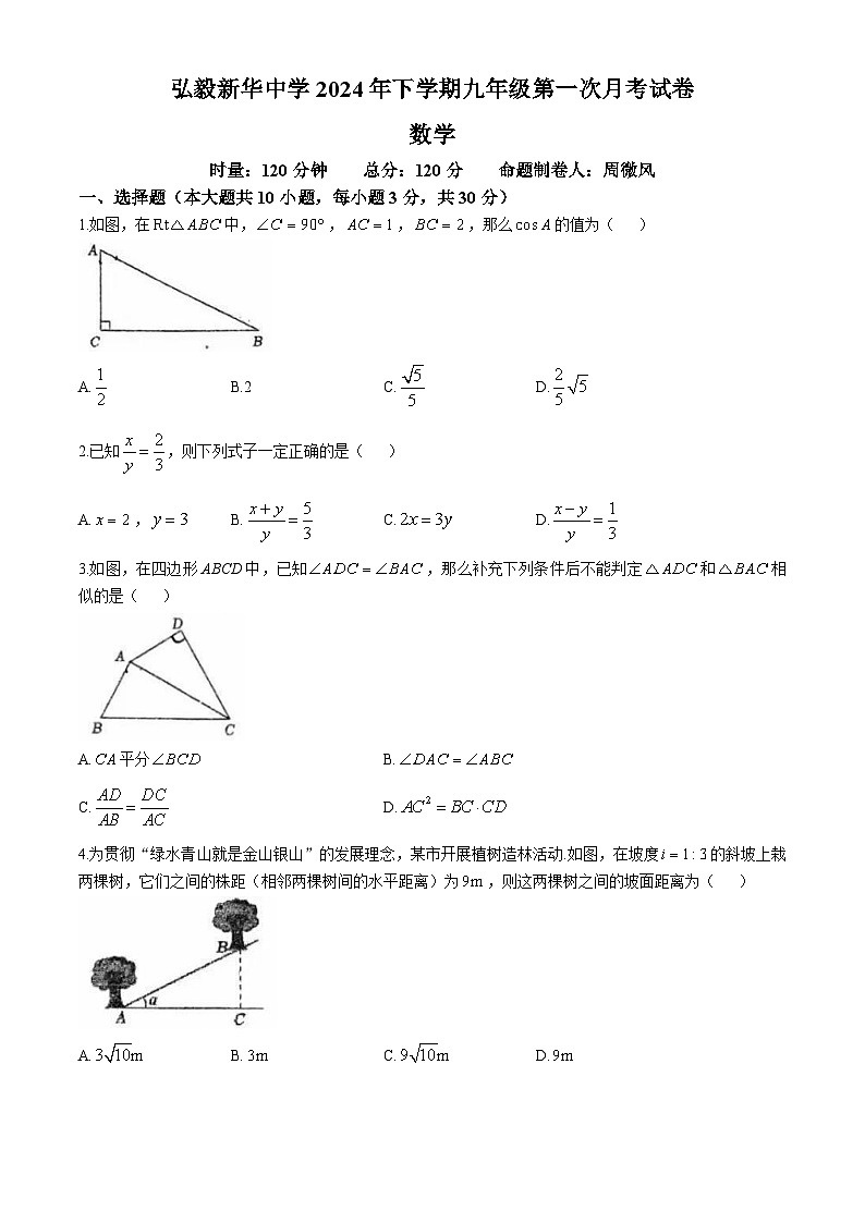 湖南省岳阳市弘毅新华中学2024-2025学年九年级上学期10月月考数学试题第1页