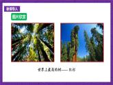 滬科版數(shù)學(xué)九上 22.5  《綜合與實踐  測量與誤差》 課件