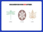 滬科版數(shù)學(xué)八上  15.1.1《軸對稱圖形》課件