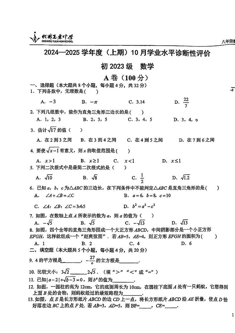 四川省成都市玉林中学2024-2025学年八年级上学期10月月考数学试题第1页