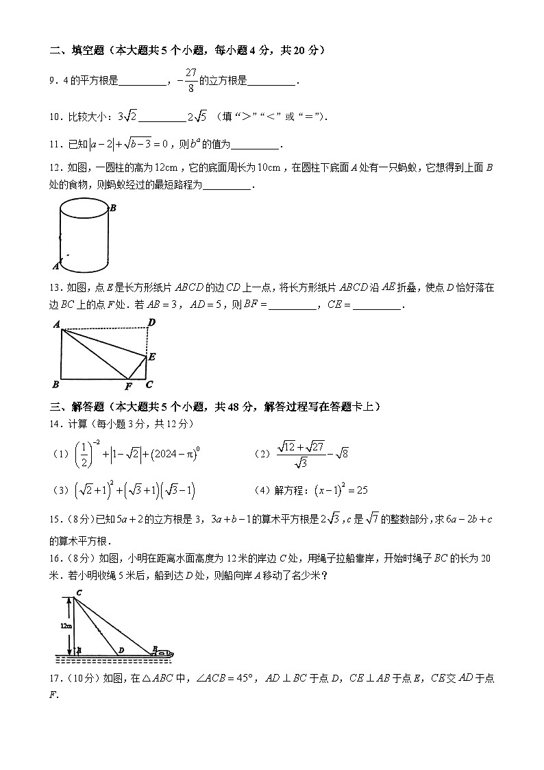 四川省成都市玉林中学2024-2025学年八年级上学期10月月考数学试题(无答案)第2页