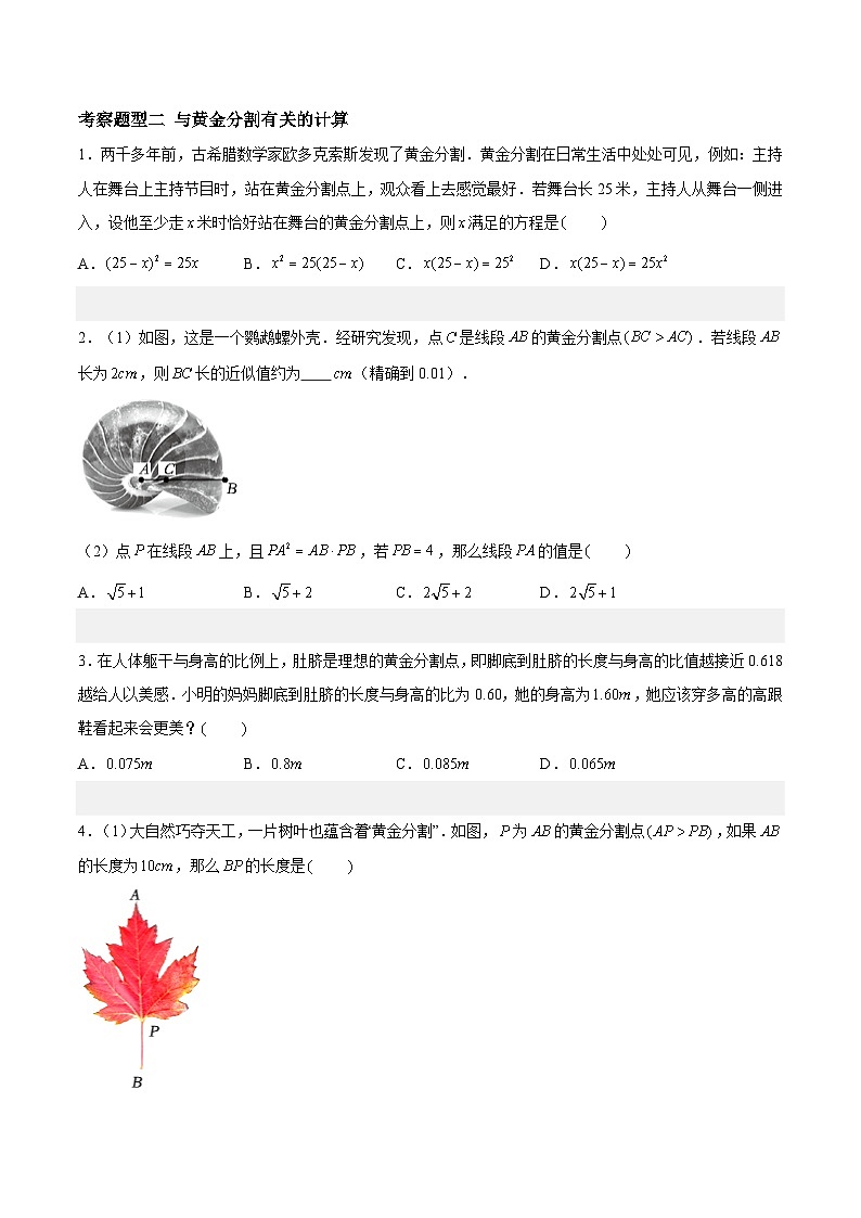 6.2黄金分割（三大题型）（原卷版）第2页
