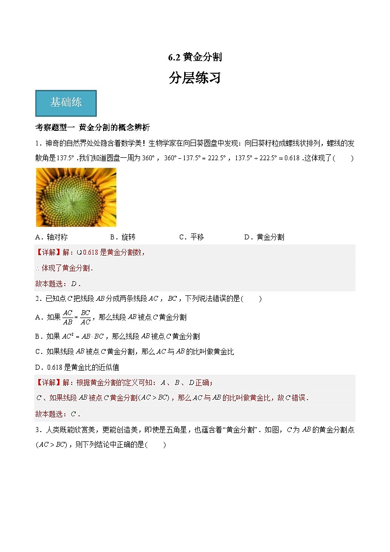 6.2黄金分割（三大题型）（解析版）第1页