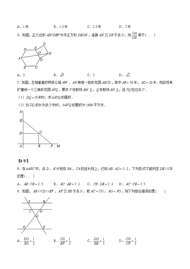 6.4.1探索三角形相似的条件-平行线分线段成比例（三大题型）（原卷版）第3页