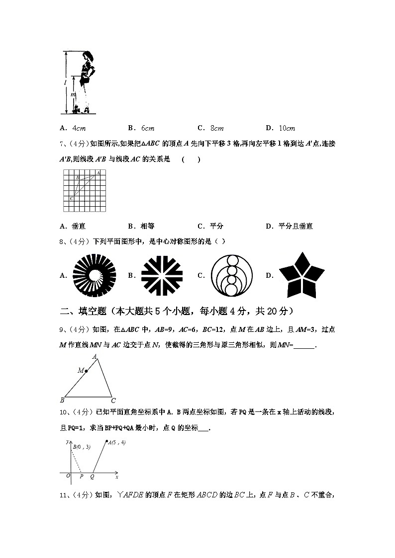上海市玉华中学2024-2025学年数学九上开学检测试题【含答案】第2页