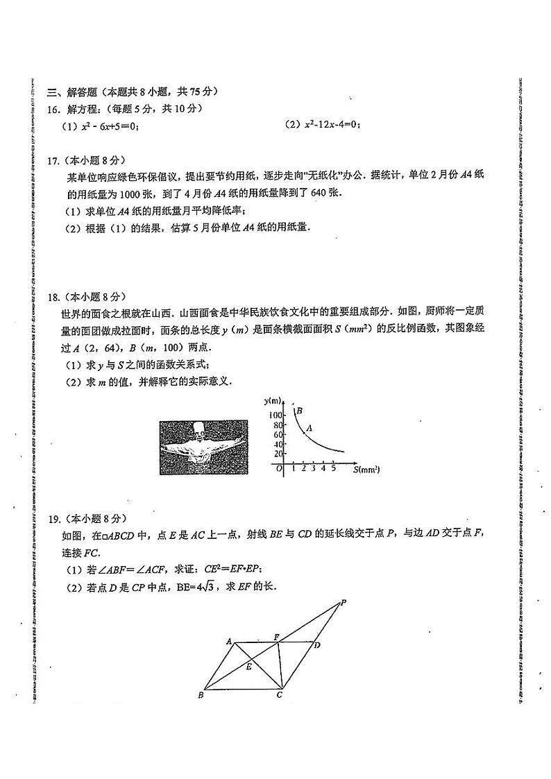 辽宁省大连市名校联盟2024—2025学年上学期九年级期中数学试卷03