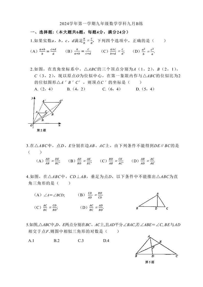 上海市嘉定区远东中学2024-2025学年九年级上学期第一次月考数学试卷第1页