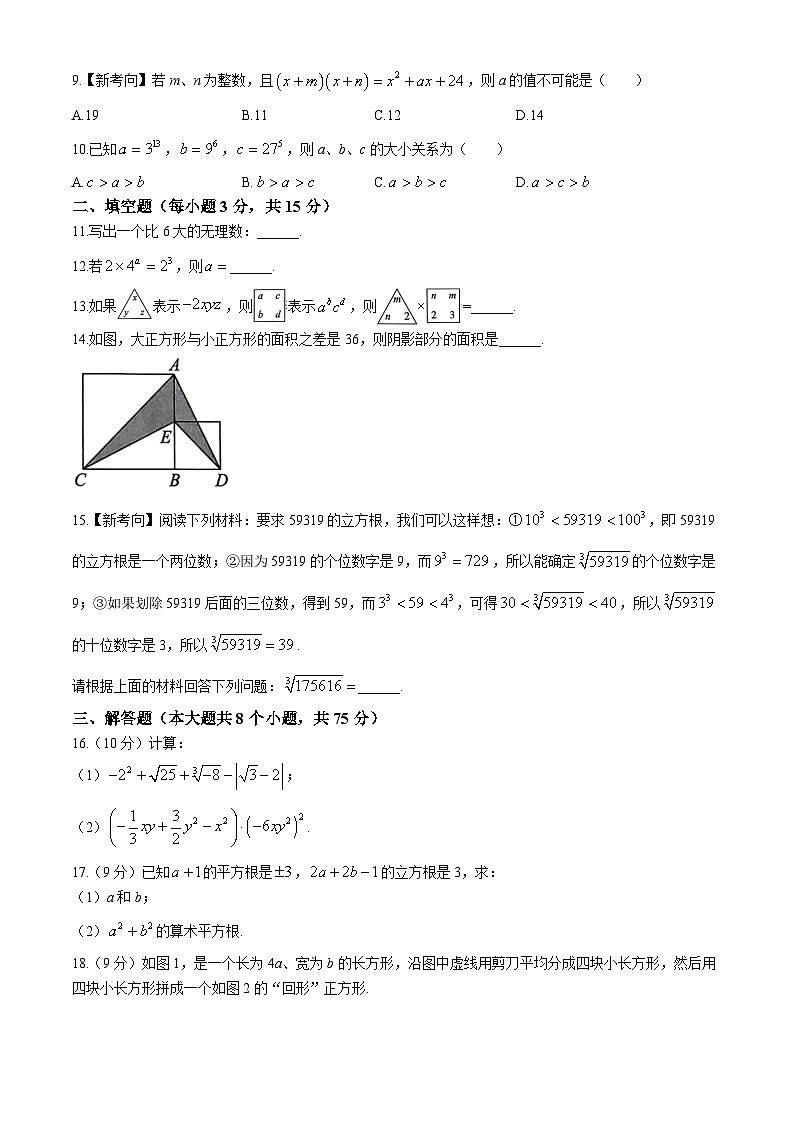 河南省周口市淮阳区2024-2025学年八年级上学期10月月考数学试题第2页