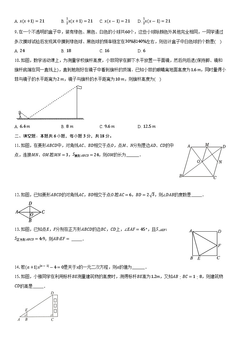 山东省枣庄市滕州市滕州育才中学2024-2025学年九年级上学期北师大版数学期中考试模拟卷02