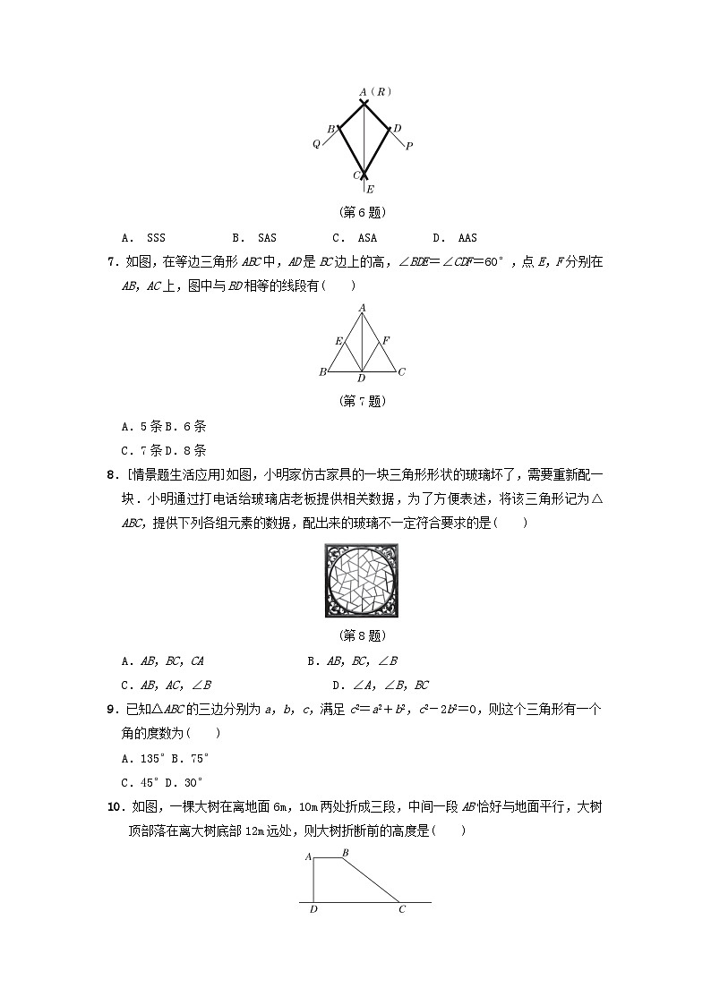 2024七年级数学上学期期中综合素质评价试卷（附答案鲁教版五四制）第2页