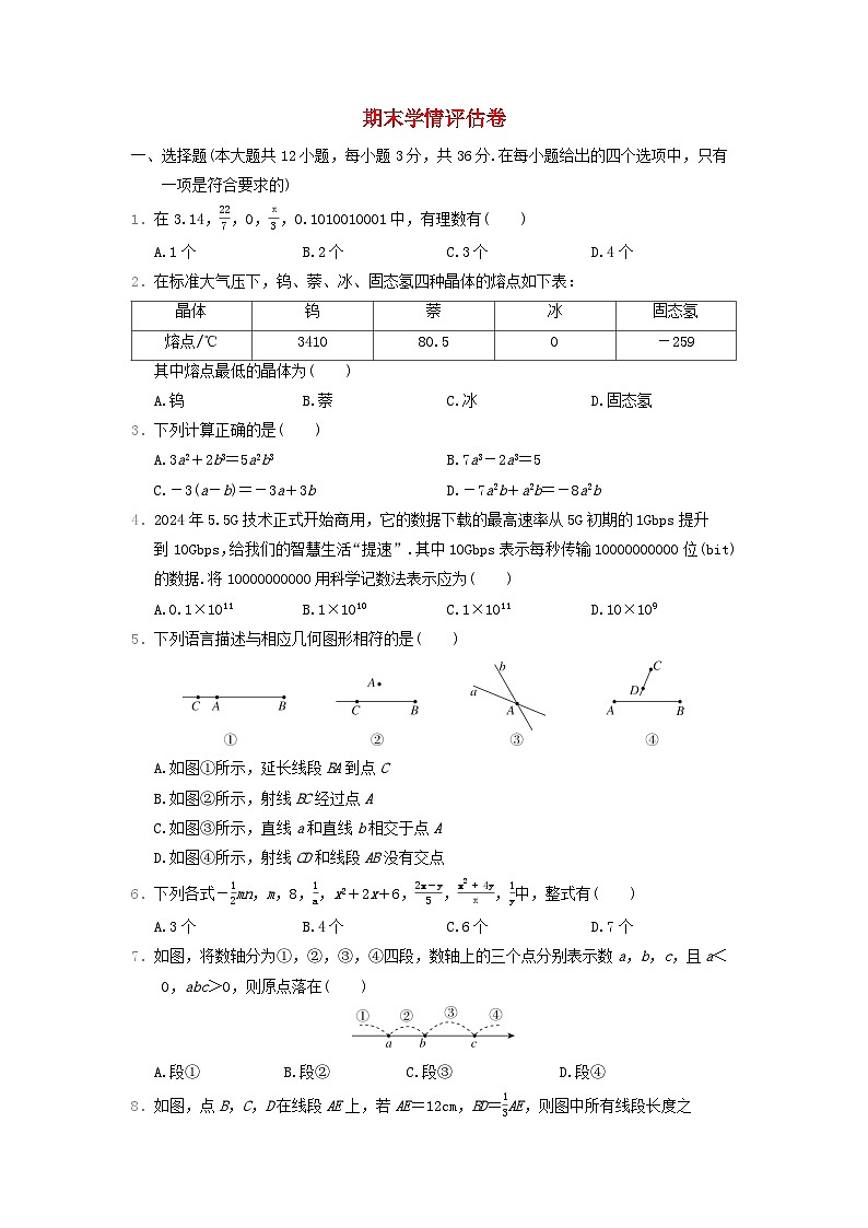 河北省2024七年级数学上学期期末学情评估卷试卷（附答案人教版）01