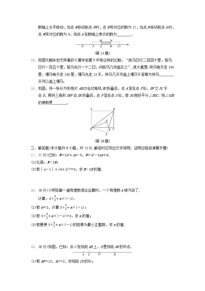 河北省2024七年级数学上学期期末学情评估卷试卷（附答案人教版）03
