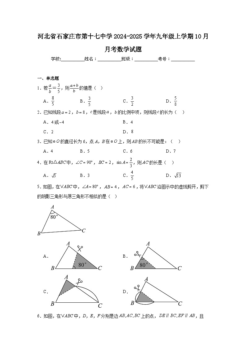 河北省石家庄市第十七中学2024-2025学年九年级上学期10月月考数学试题第1页