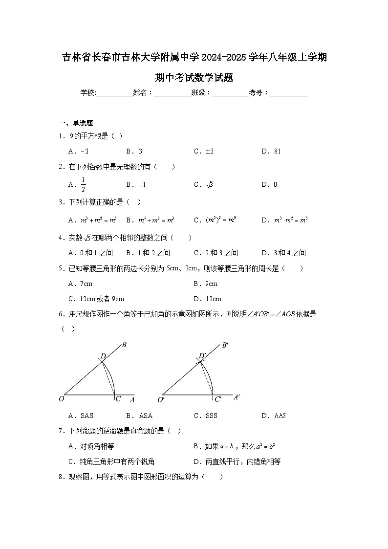 吉林省长春市吉林大学附属中学2024-2025学年八年级上学期期中考试数学试题01