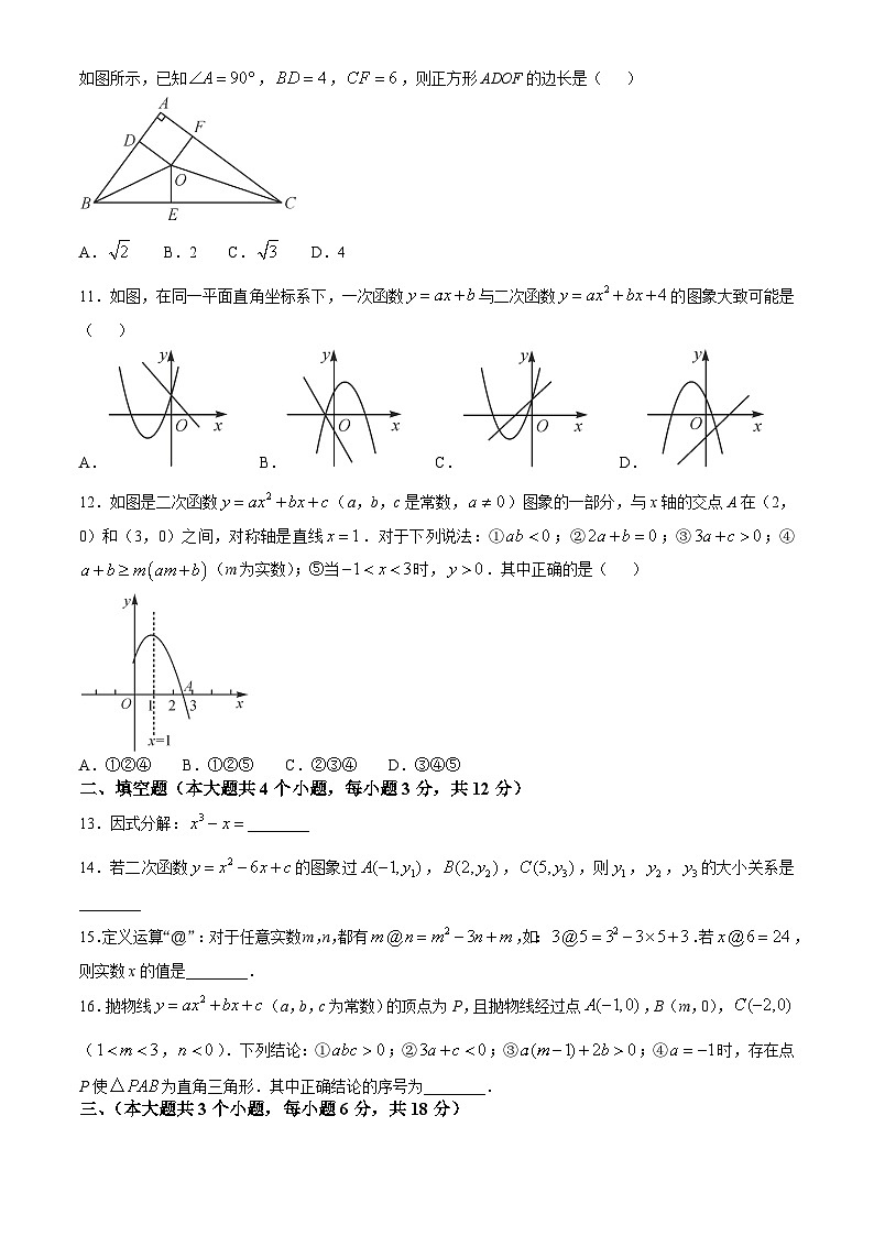 四川省泸州市合江县少岷初中2024-2025学年九年级上学期10月月考数学试题02