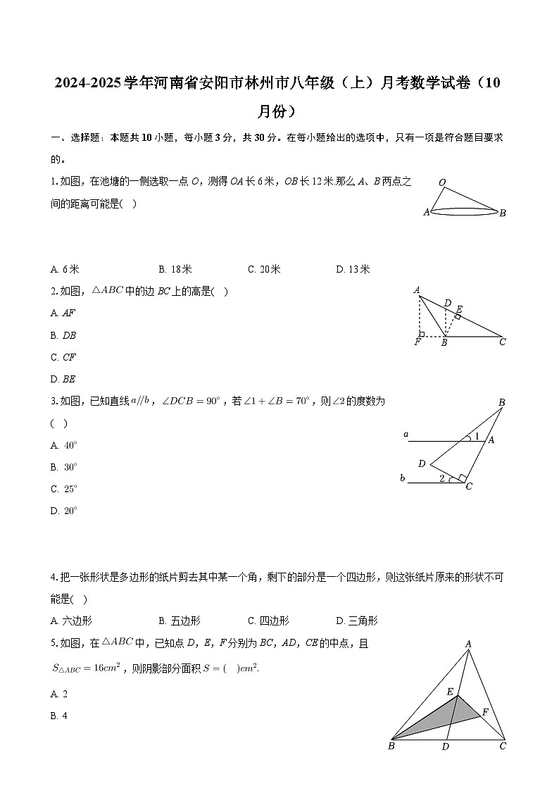 河南省安阳市林州市2024—2025学年上学期八年级10月月考数学试卷01