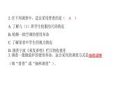 最新北师版七上数学金牌学典6.2普查和抽样调查（课件）