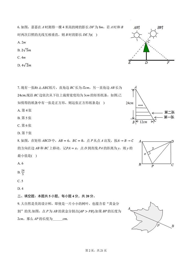 广东深圳2024年九年级上学期数学试卷（10月份）+答案第2页
