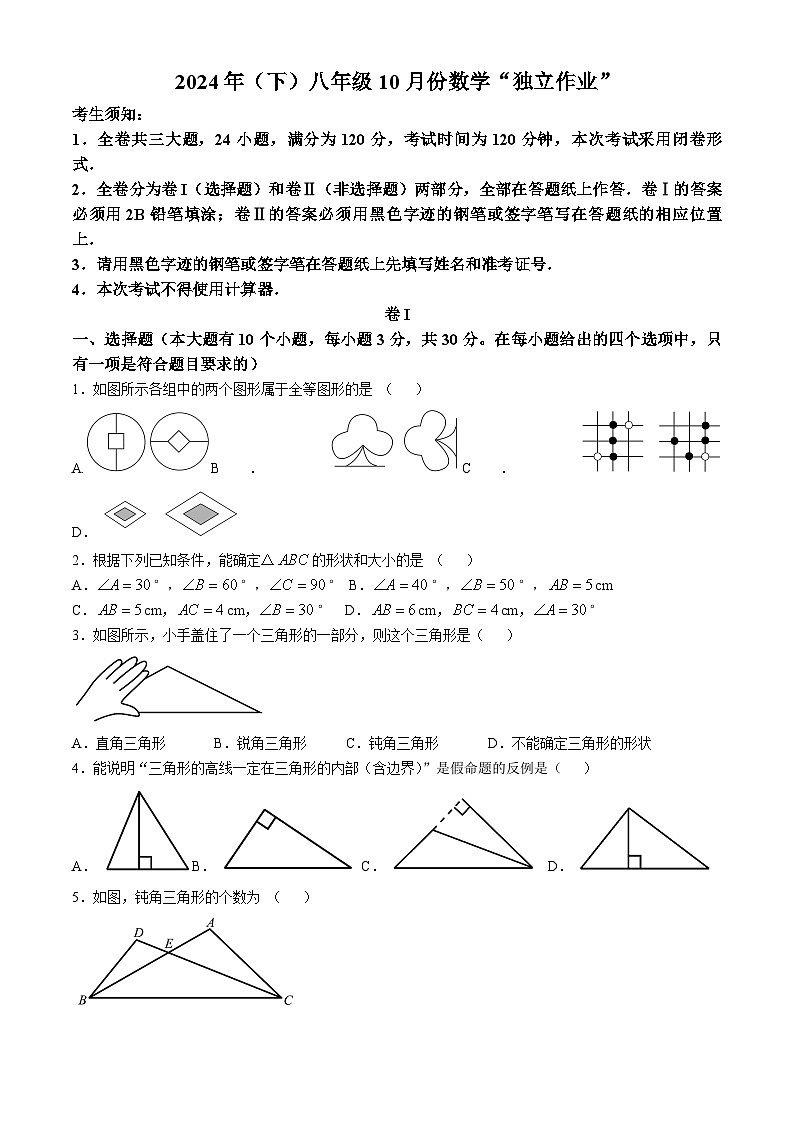 浙江省温州市龙湾私立学校联考2024-2025学年八年级上学期10月独立作业数学试题(无答案)01