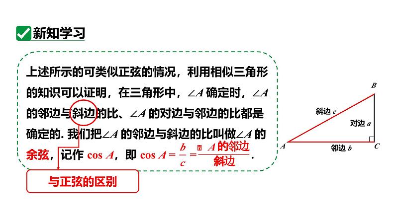 最新人教版九下数学新课标教学课件28.1.2余弦和正切（课件）第6页