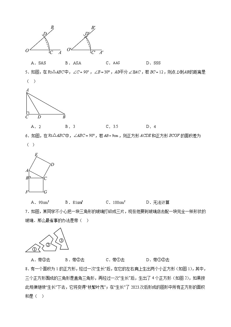 2024-2025学年八年级上学期数学期中模拟试卷（苏科版）（含答案解析）第2页