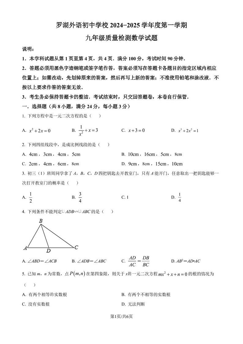 深圳罗湖外语初中学校2024—2025学年上学期九年级10月月考数学试卷（原卷版+解析版）01