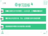 4.3多边形和圆的初步认识  课件2024—-2025学年北师大版数学 七年级上册
