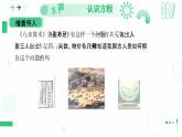 5.1认识方程 课件 2024-2025学年北师大版七年级数学 上册