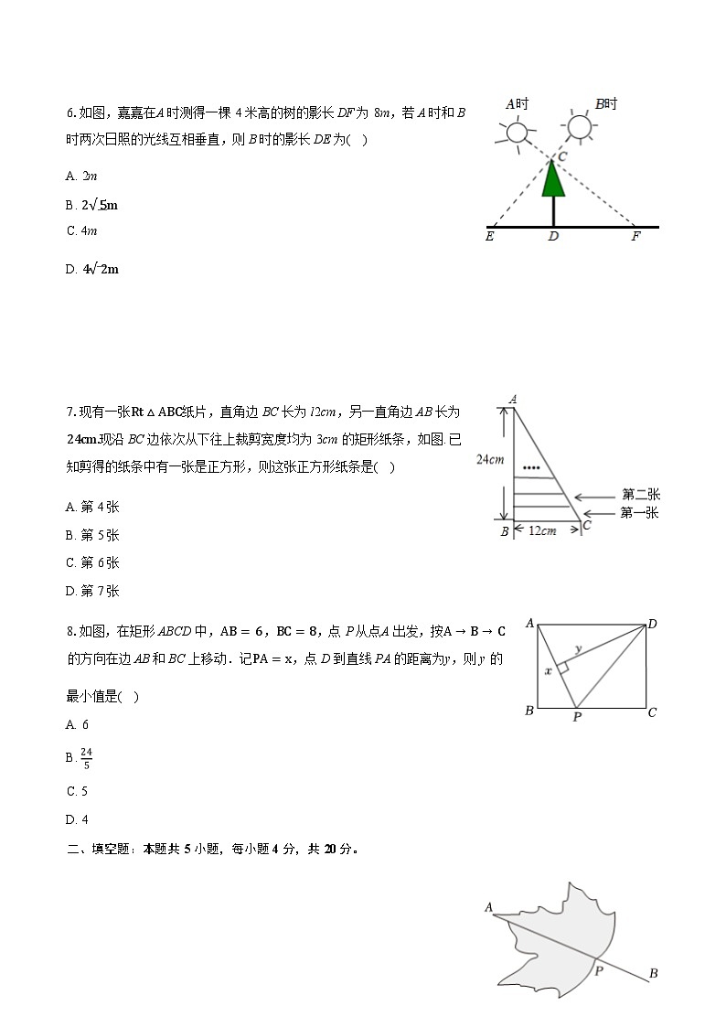 广东深圳2024年九年级上学期数学试卷（10月份）及答案第2页