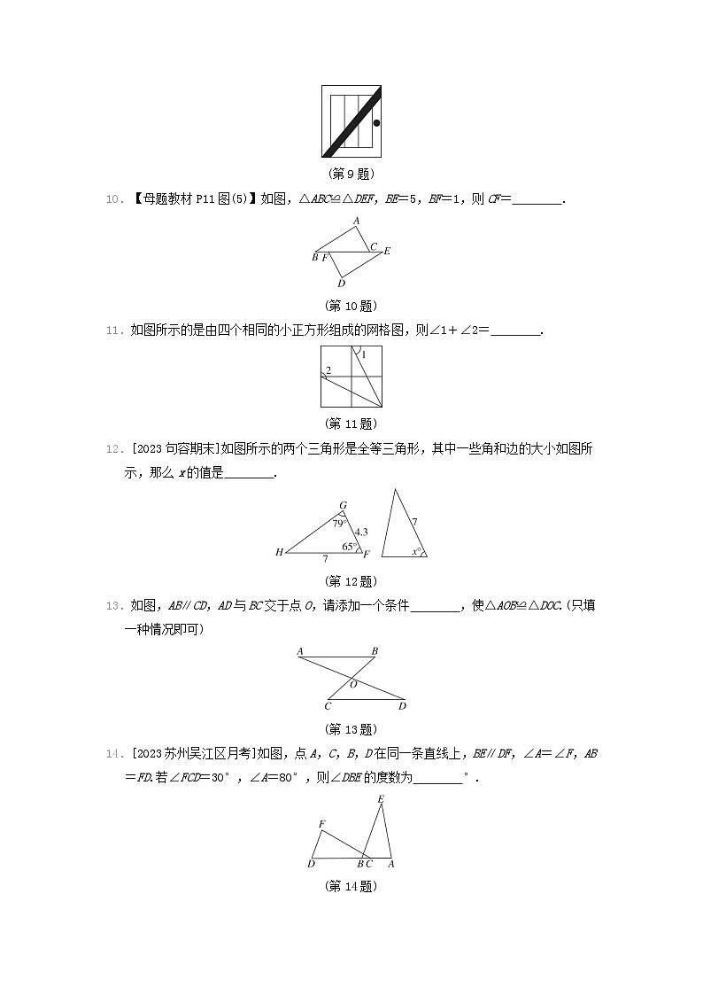 2024八年级数学上册第1章全等三角形综合素质评价试卷（附答案苏科版）03