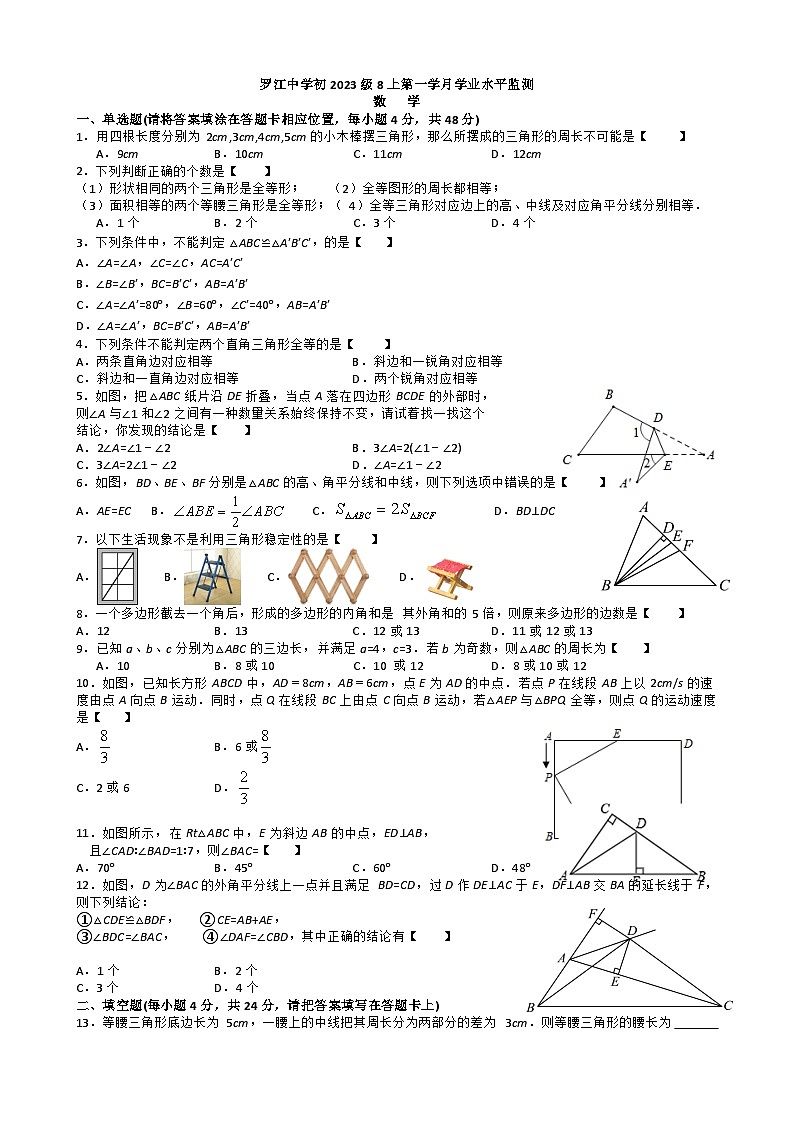 四川省罗江中学2024-2025学年上学期八年级10月月考数学试题第1页