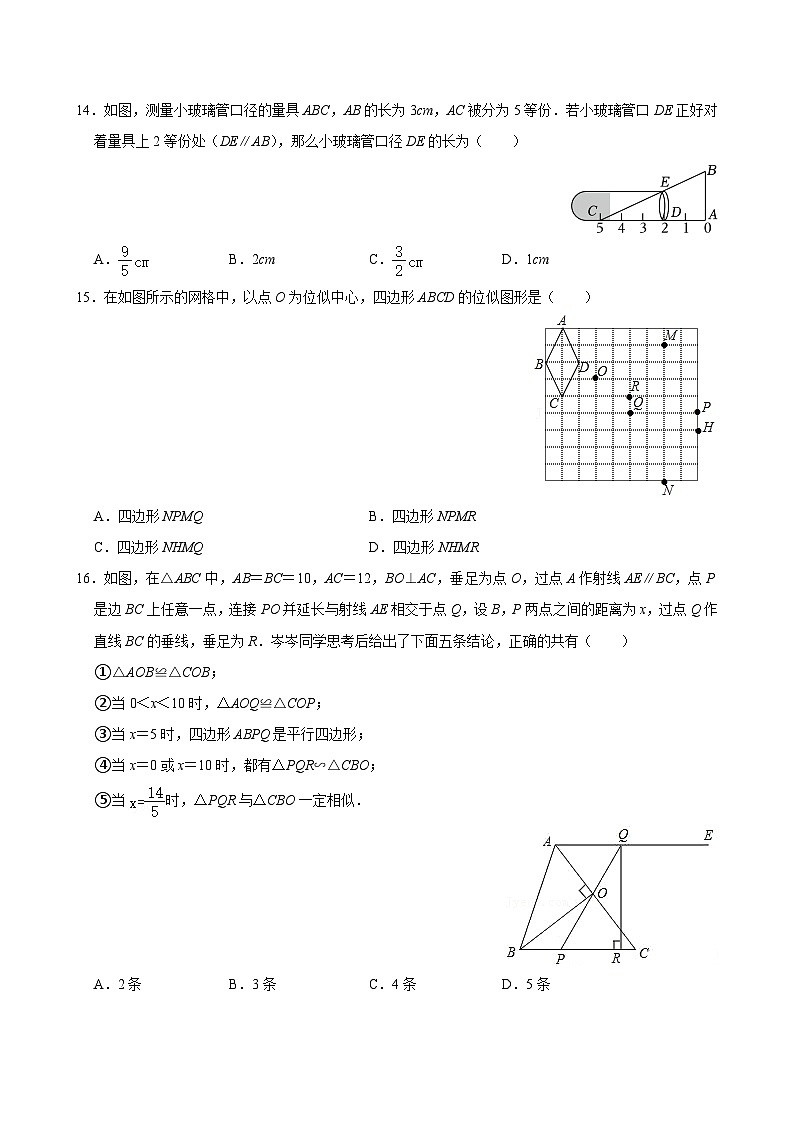 河北省石家庄四十七中学2024—-2025学年上学期第一次月考九年级数学试题第3页