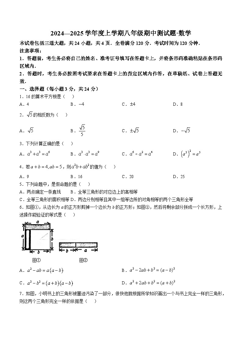 吉林省长春市榆树市慧望初级中学2024-2025学年八年级上学期10月期中测试数学试题(无答案)01