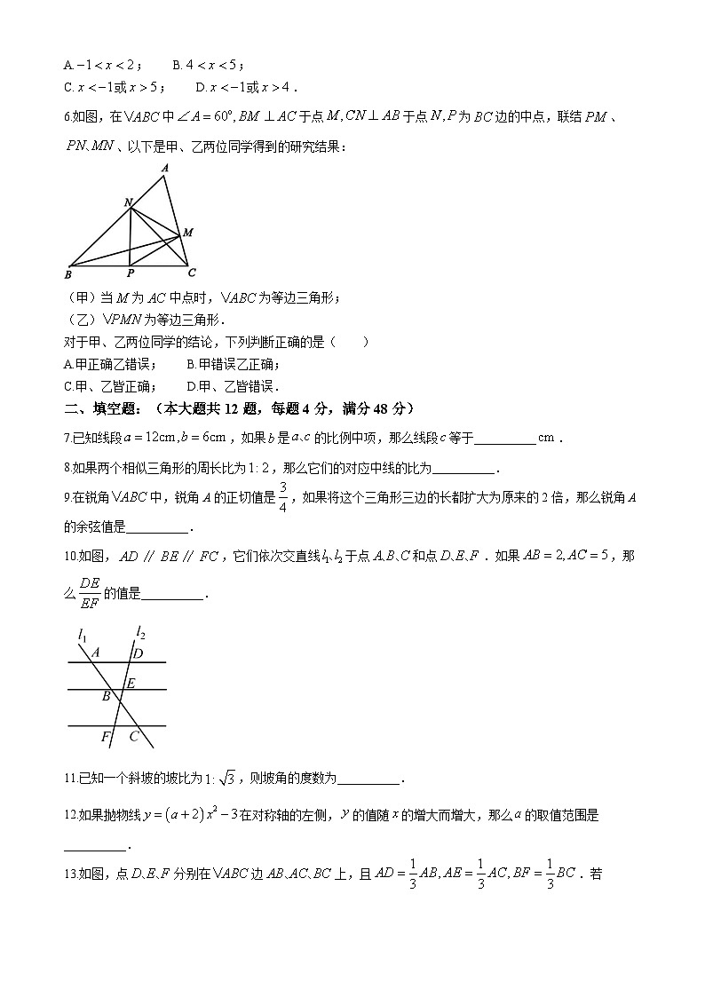 上海市宝山中学2024-2025学年 九年级上学期期中数学试卷(无答案)02