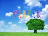 4.1 平方根 蘇科版八年級數(shù)學(xué)上冊課件