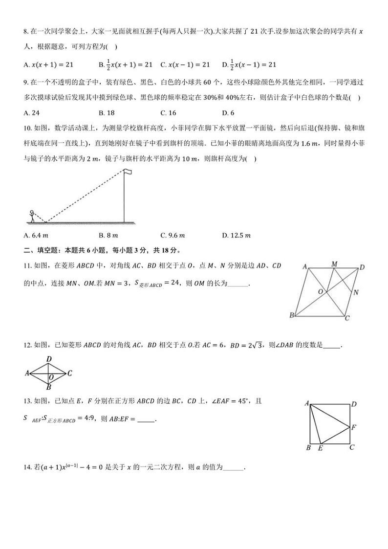 山东省枣庄市滕州市滕州育才中学2024～2025学年九年级上学期北师大版数学期中考试模拟卷(无答案)第2页