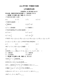 上海市闵行区上海交通大学第二附属中学2024—2025学年上学期七年级数学期中试卷(无答案)