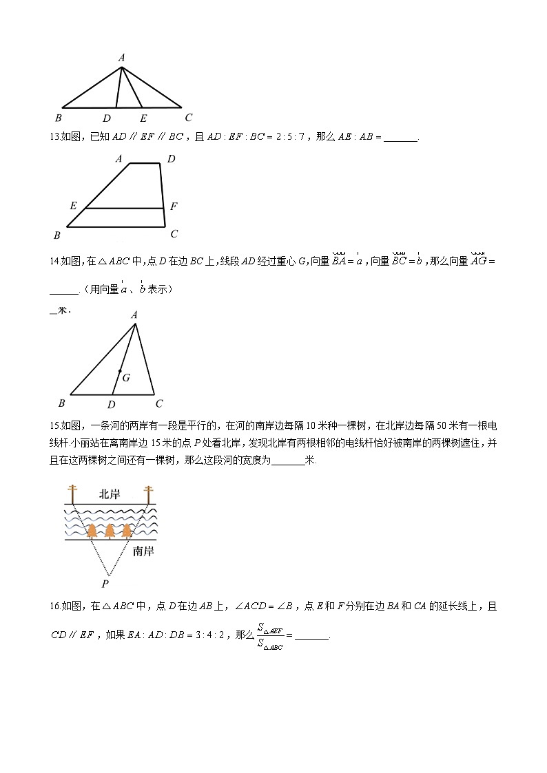上海市普陀区2024-2025学年九年级上学期数学期中考试试卷第3页