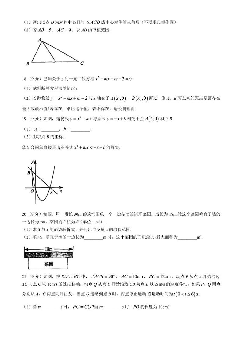 河南省周口市西华县2024～—2025学年九年级上学期10月期中数学试题（含答案）第3页