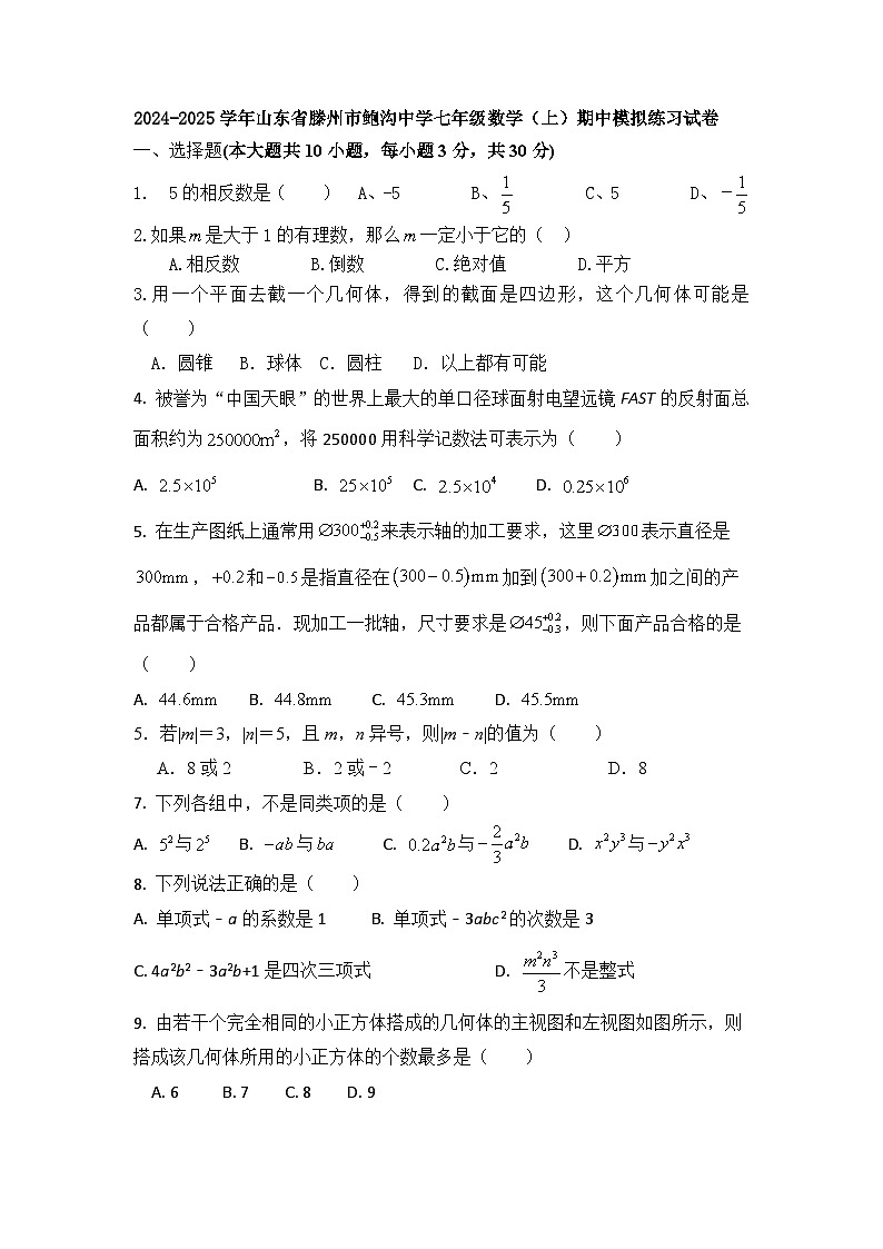 山东省滕州市鲍沟中学2024-2025学年七年级数学上学期期中模拟练习试卷第1页