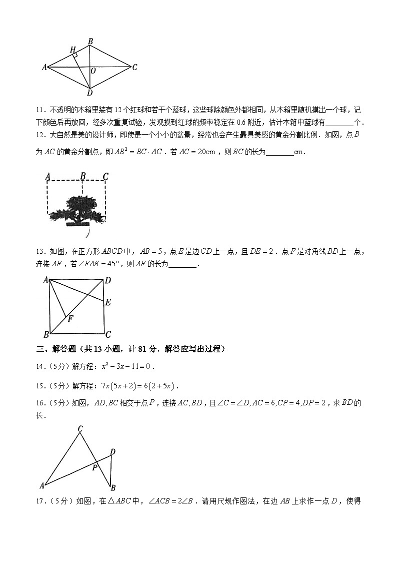 陕西省榆林市府谷县2024-2025学年上学期九年级期中考试数学试题(无答案)第3页