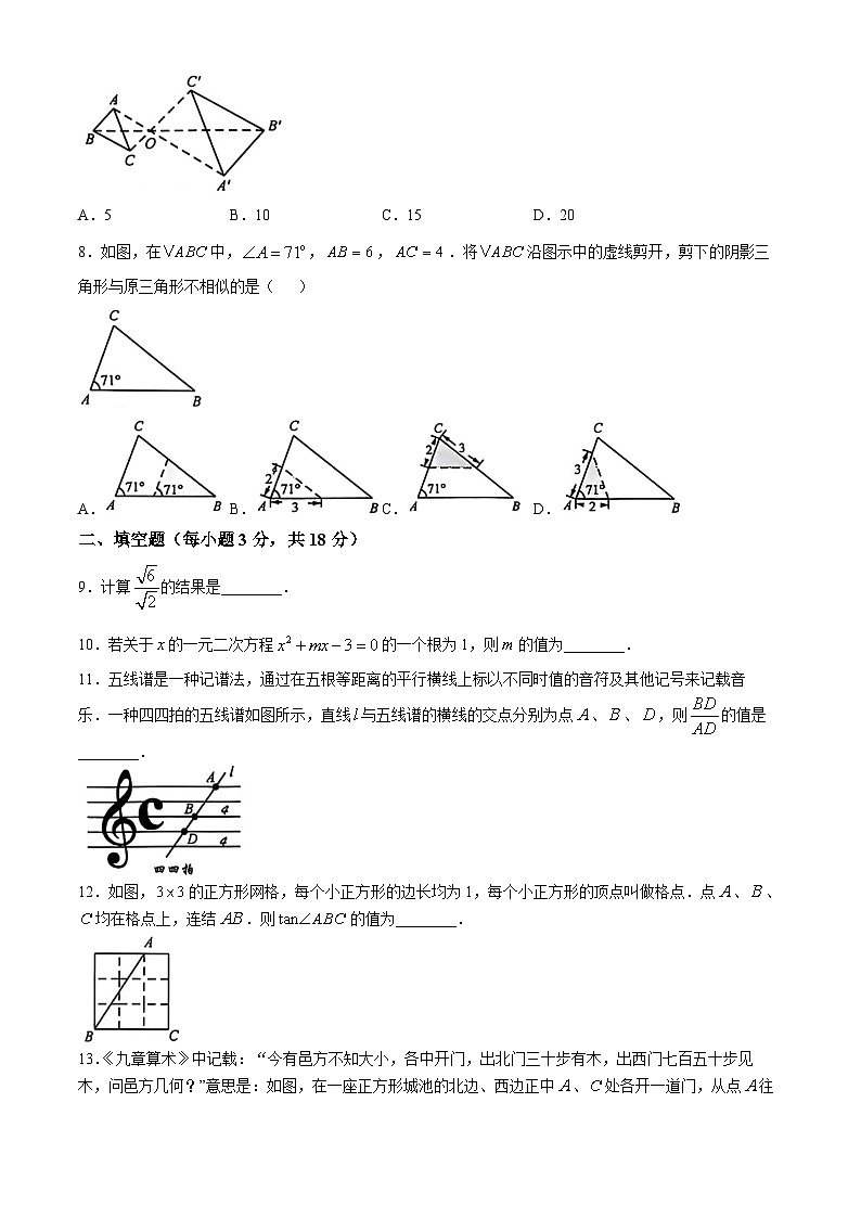 吉林省长春市朝阳区2024-2025学年九年级上学期期中数学试题02