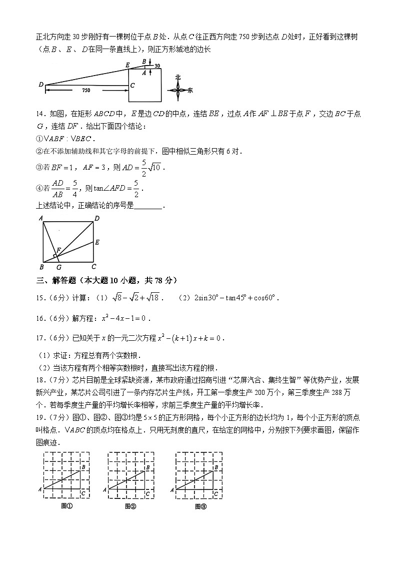 吉林省长春市朝阳区2024-2025学年九年级上学期期中数学试题03