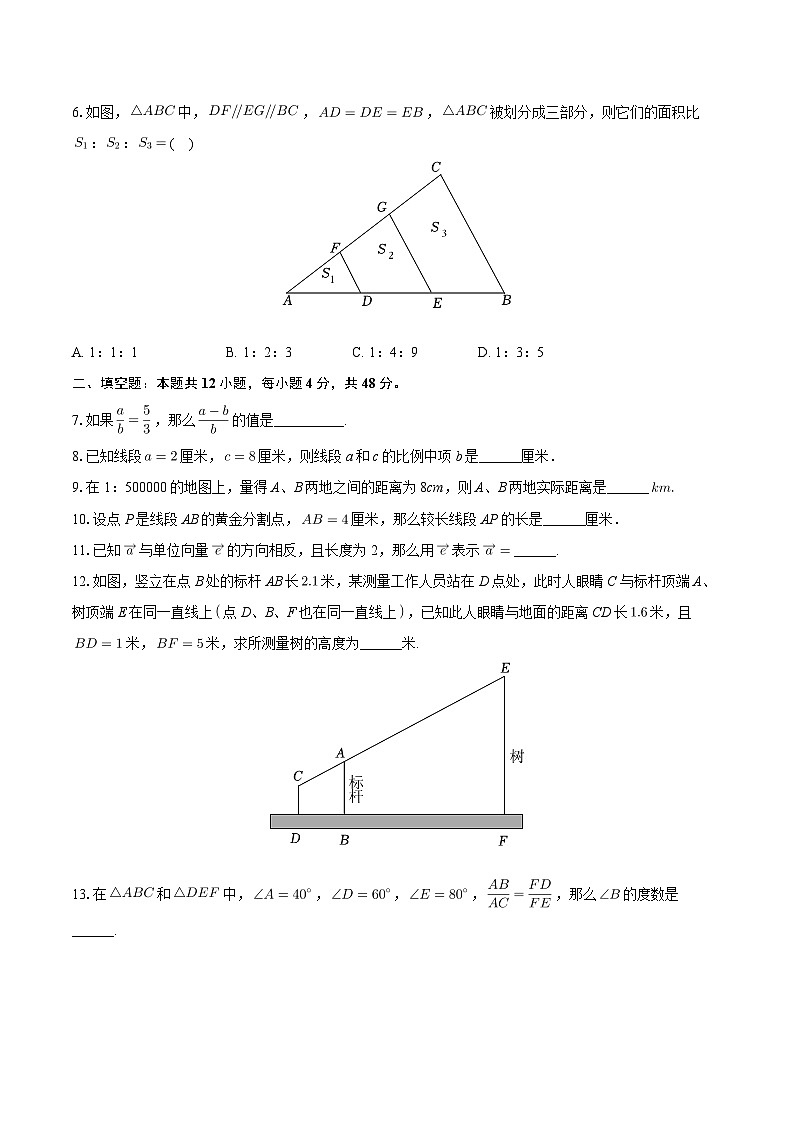 上海市上南中学南校2024-2025学年九年级上学期月考数学试卷（10月份）02