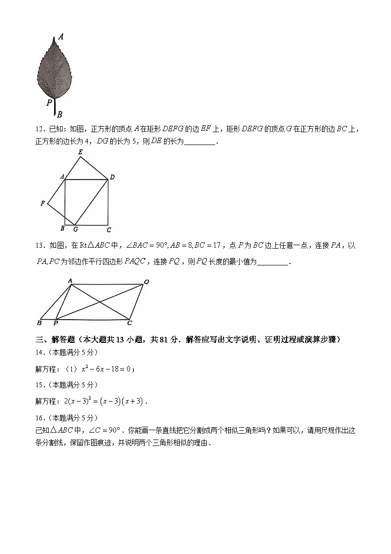 陕西省西安市第二十六中学2024-2025学年九年级上学期10月期中数学试题03