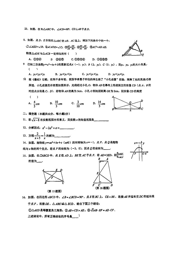 2024北京牛栏山一中实验学校初三上学期期中数学试卷02