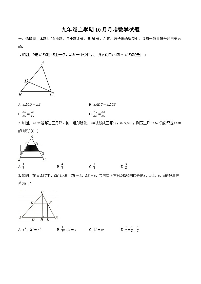 山东省聊城市东阿县姜楼中学2024-2025学年九年级上学期10月月考数学试题第1页