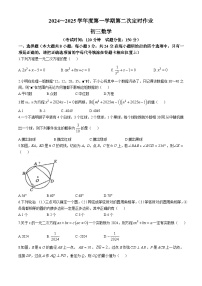 江苏省宿迁市沭阳县外国语实验学校2024-2025学年上学期九年级期中考试数学试卷(无答案)