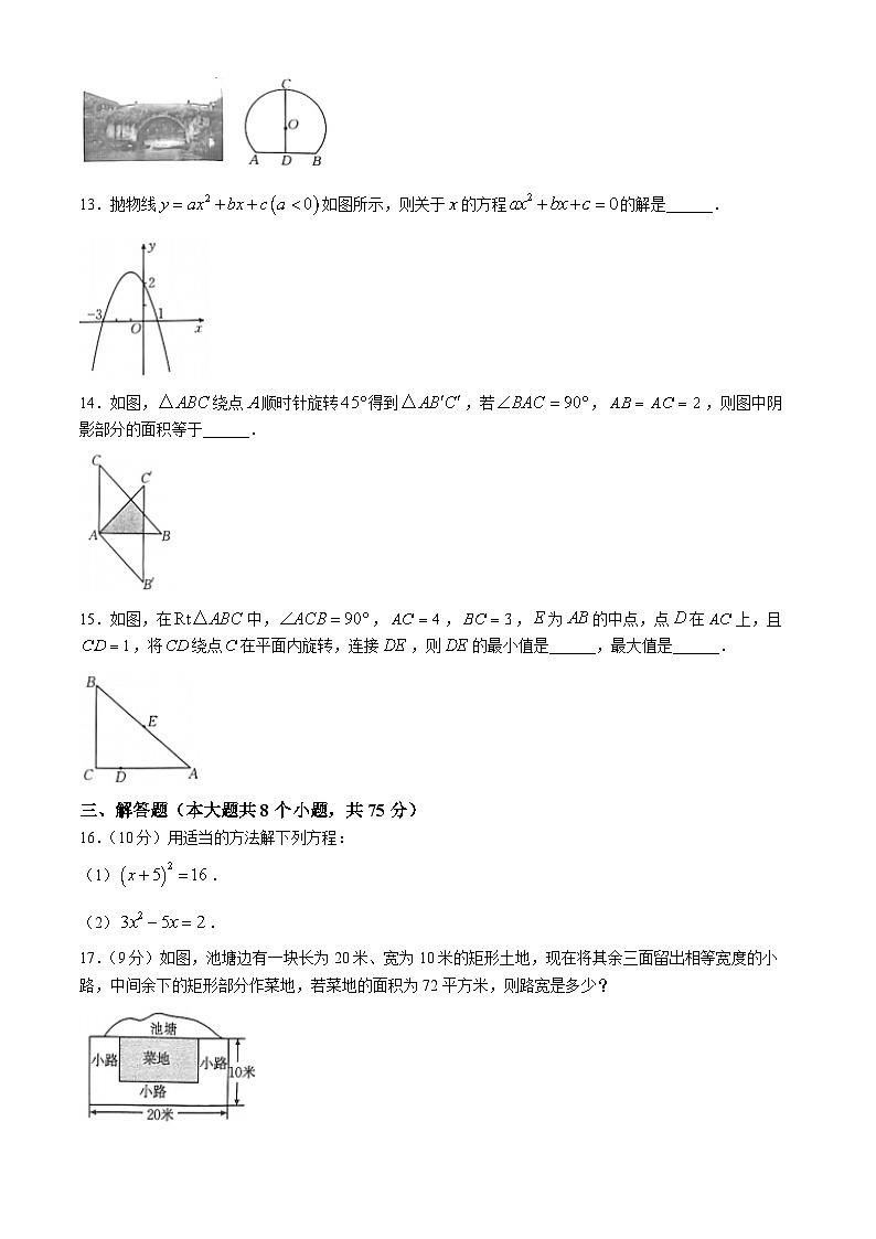 河南省信阳市2024-2025学年人教版九年级上学期数学期中测试卷第3页